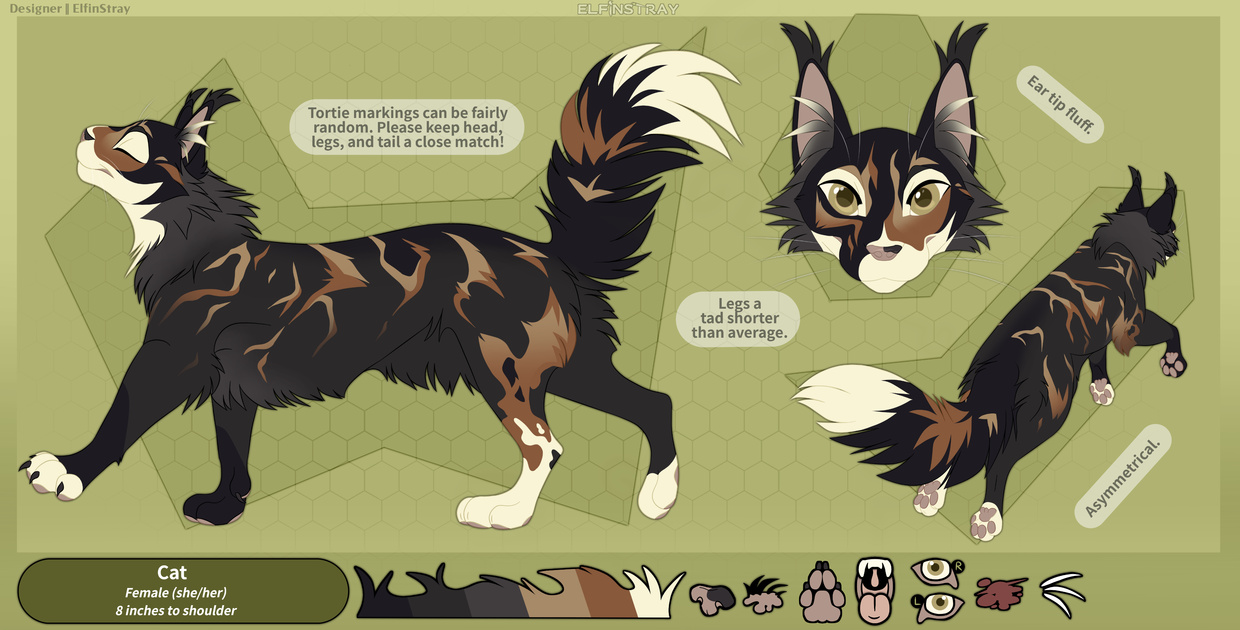 Ashenwing Warriors Fandom