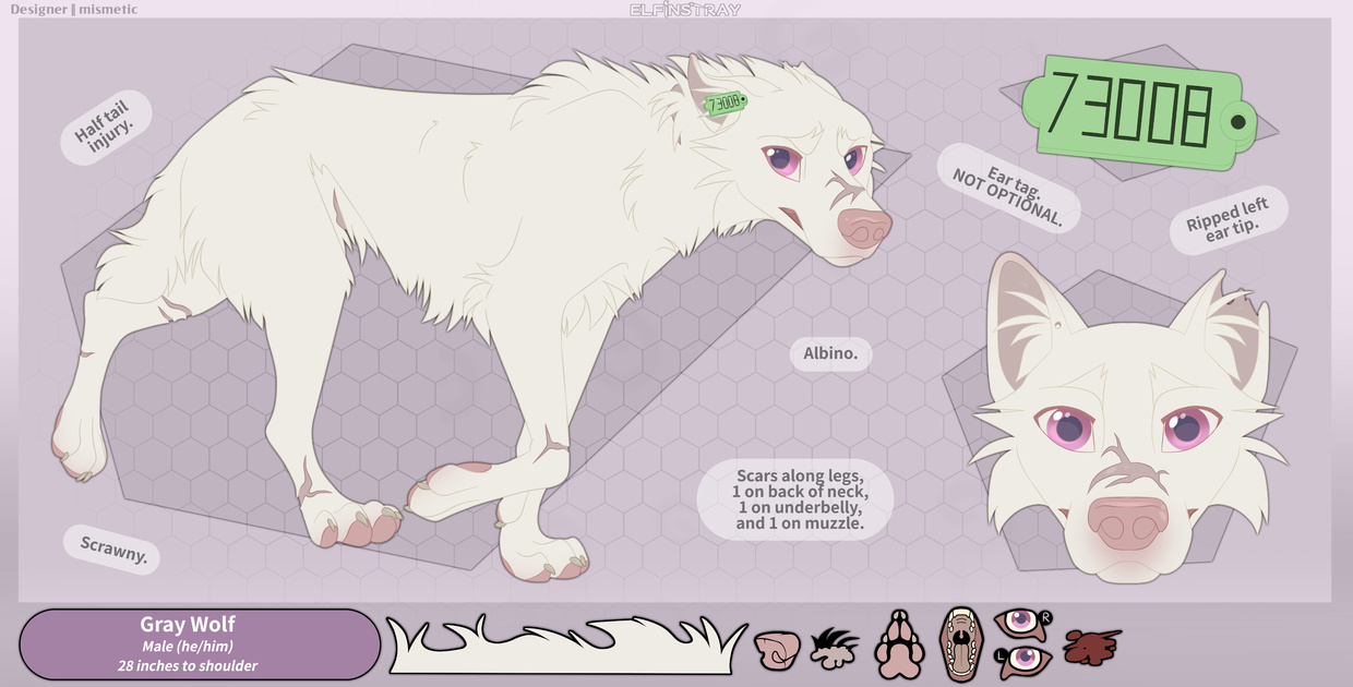 Hitaro WolfQuest Game